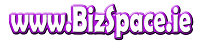 Low Cost Websites from BizSpace.ie